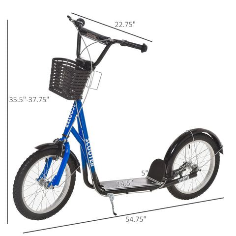 Youth Kick Scooter with 16