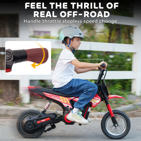 24V Electric Dirt Bike with 250W Motor and 12