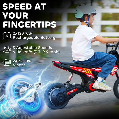 24V Electric Dirt Bike with 250W Motor and 12