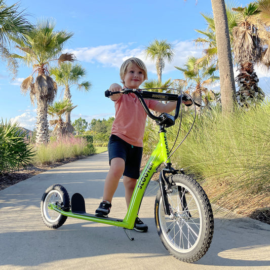 Youth Kick Scooter with Dual Brakes and Inflatable Wheels, Green