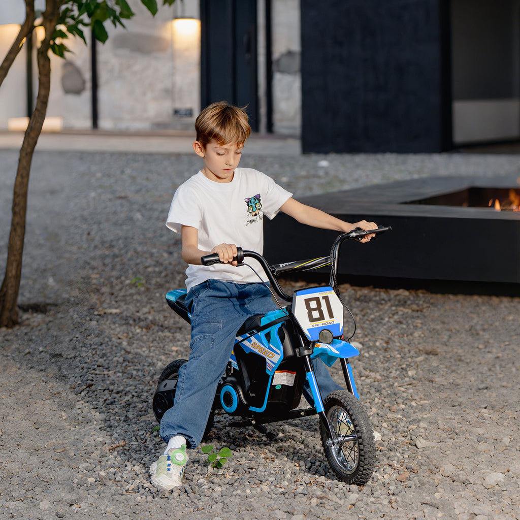24V Kids Electric Dirt Bike with 250W Motor | 12