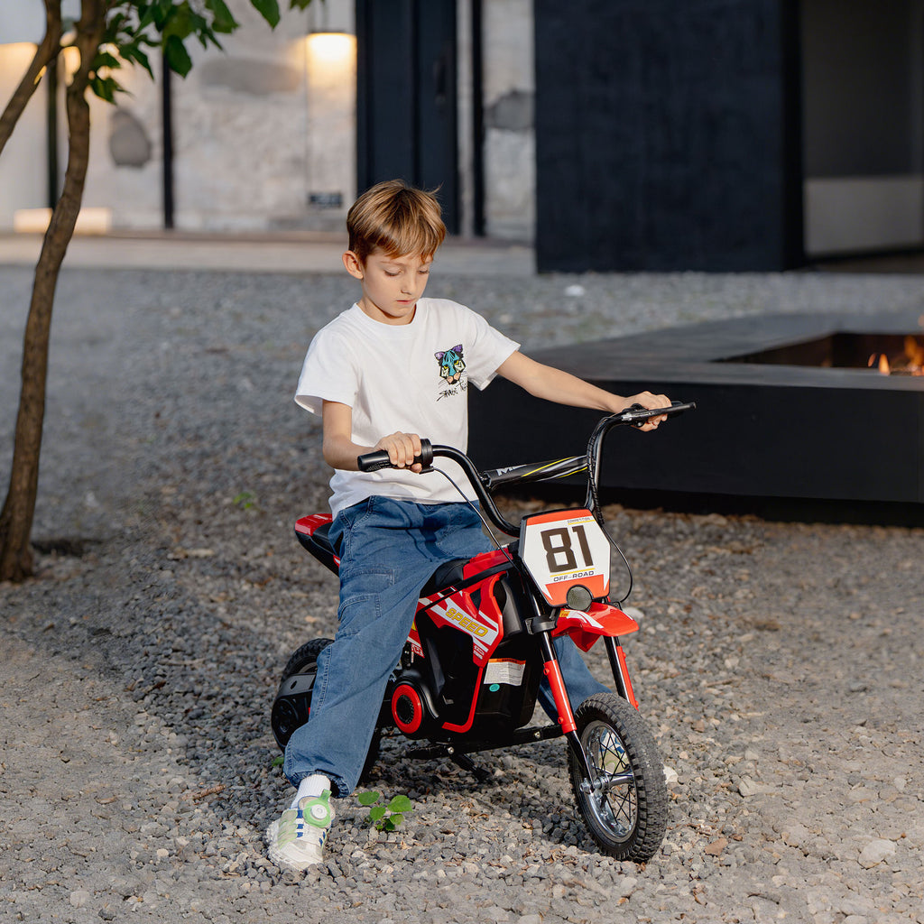 24V Electric Dirt Bike with 250W Motor and 12