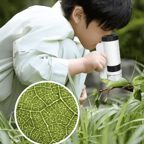 Portable Optical HD Handheld Microscope with LED Light for Kids