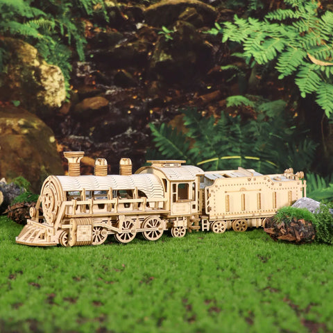3D Wooden Mechanical Train Puzzle Model Kit